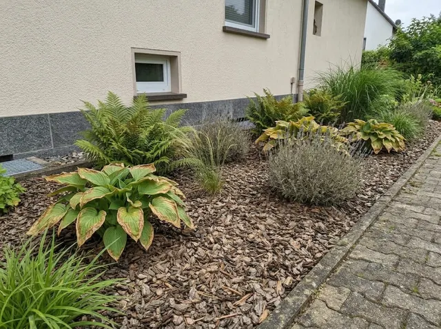 Staudenbeet mit welken, hängenden Pflanzen bei Trockenheit