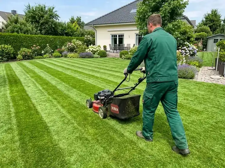 Gepflegter Rasen mit sauberen Beetkanten in einem Münchner Garten